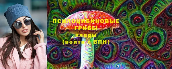 apvp Горнозаводск