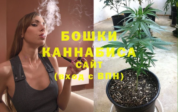apvp Горнозаводск