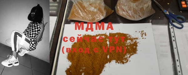 индика Горняк