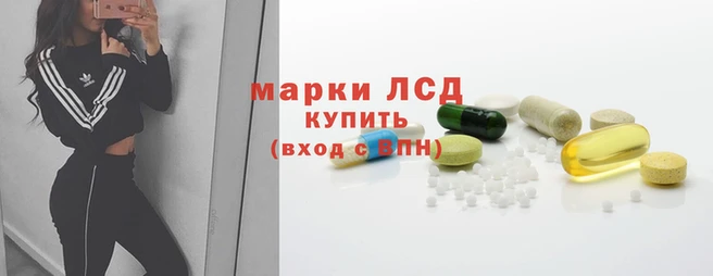 индика Горняк
